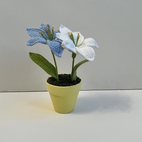 فازة الازهار البيضاء و الصفراء