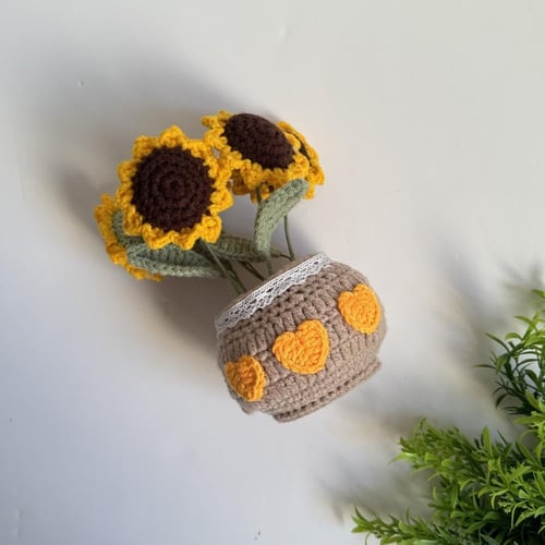 اصيص دوار الشمس