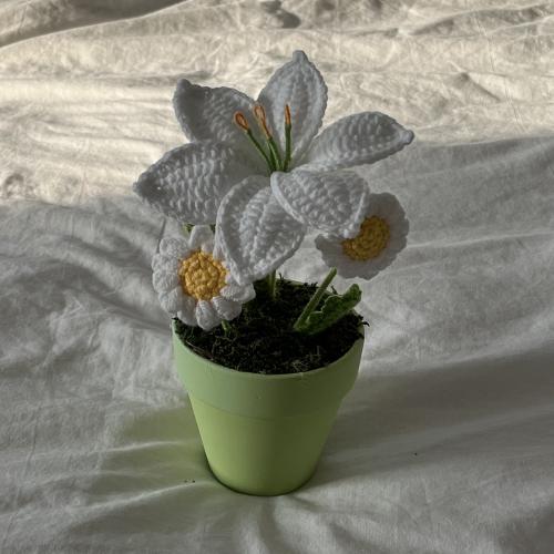 فازة الازهار البيضاء