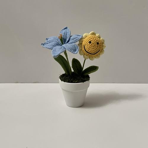 فازة دوار الشمس