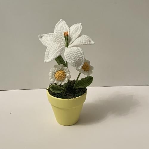 فازة متنوعة