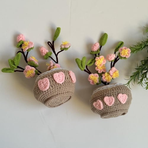 اصيص الساكورا