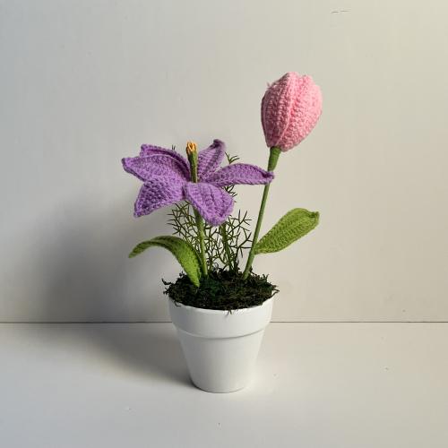 فارة الأزهار البنفسجية و الوردية