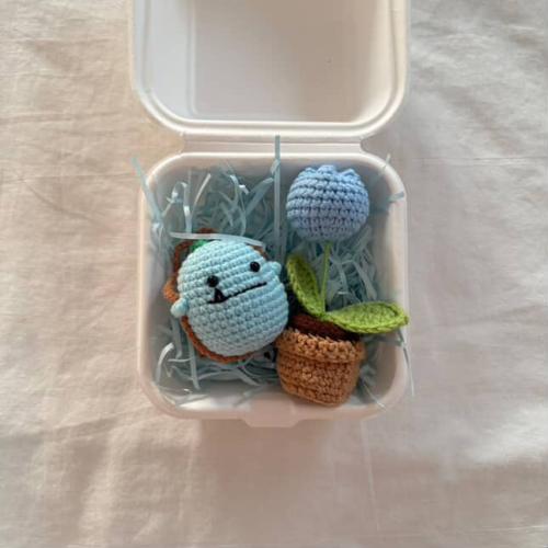 بوكس الدمية و الزهرة الزرقاء