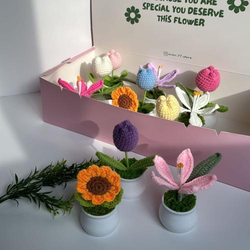 توزيعات العيد ١٣ حبه