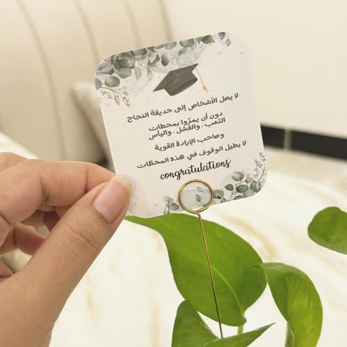 ميني نبات بوتس