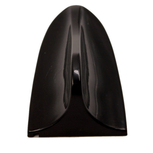 اريل حوت أسود