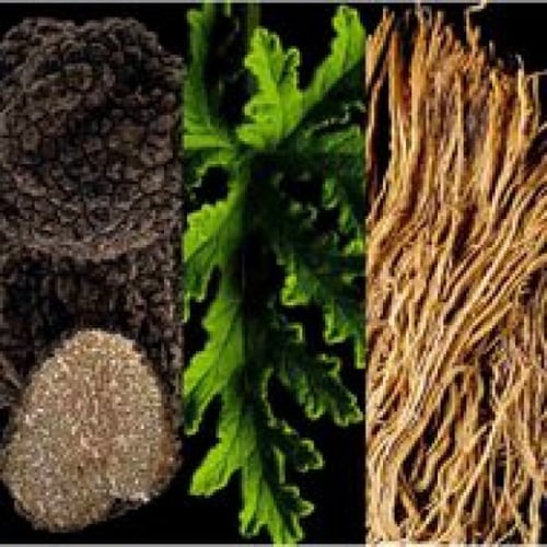 عطر كارولينا هيريرا باد بوي كوبلت الكتريك او دو با...