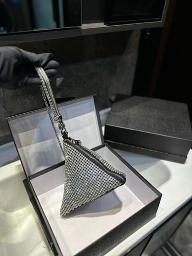 شنطة الكسندر وانغ Alexander wang