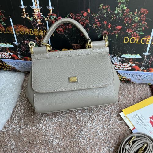 شنطة دولشي اند غابانا D&G 20cm
