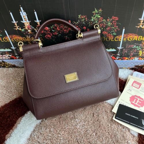 شنطة دولشي اند غابانا D&G 25cm