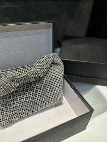 شنطة الكسندر وانغ Alexander wang