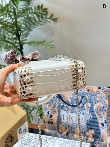 شنطة ديور ليدي ديور