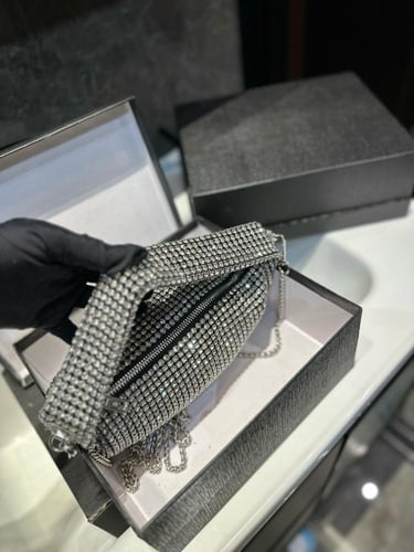 شنطة الكسندر وانغ Alexander wang