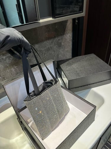 شنطة الكسندر وانغ Alexander wang