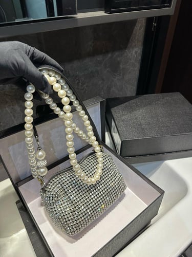 شنطة الكسندر وانغ Alexander wang