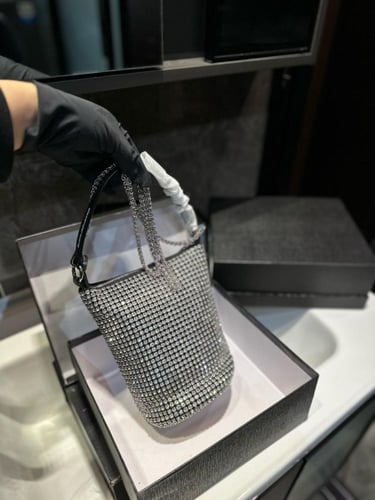 شنطة الكسندر وانغ Alexander wang