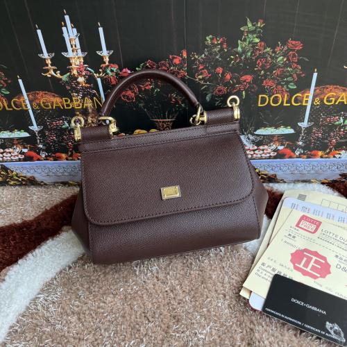 شنطة دولشي اند غابانا D&G 20cm