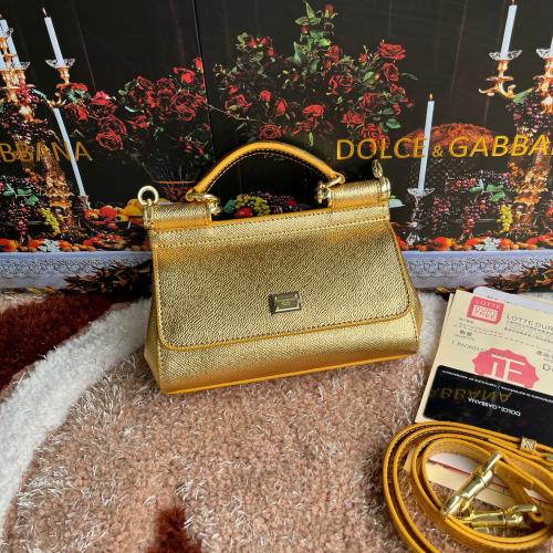 شنطة دولشي اند غابانا D&G 18cm