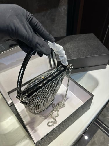 شنطة الكسندر وانغ Alexander wang