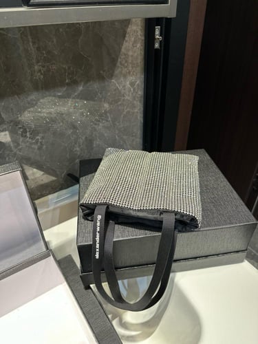 شنطة الكسندر وانغ Alexander wang