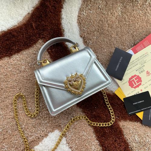 شنطة دولشي اند غابانا D&G 19cm