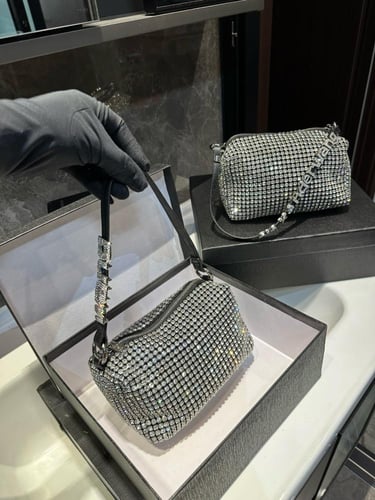 شنطة الكسندر وانغ Alexander wang