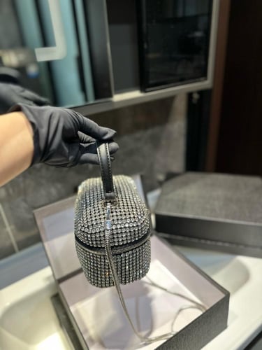 شنطة الكسندر وانغ Alexander wang