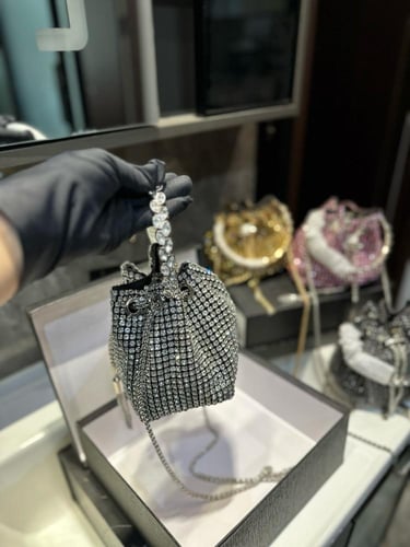 شنطة الكسندر وانغ Alexander wang