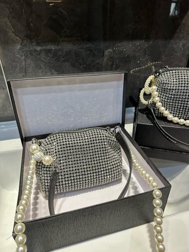 شنطة الكسندر وانغ Alexander wang