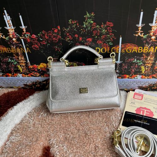 شنطة دولشي اند غابانا D&G 18cm