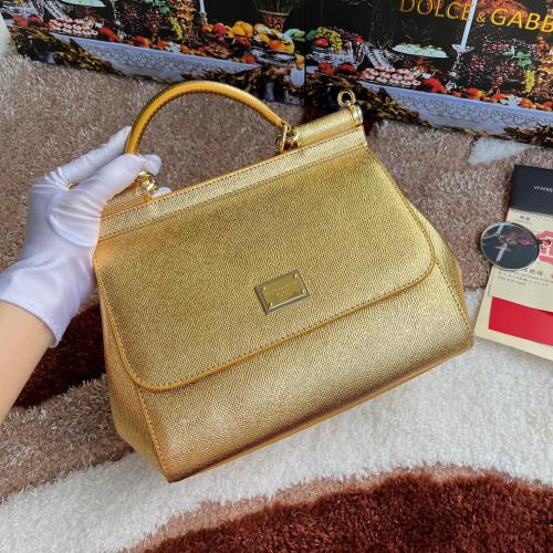 شنطة دولشي اند غابانا D&G 25cm