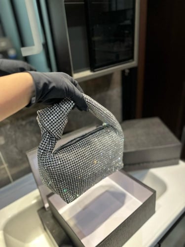 شنطة الكسندر وانغ Alexander wang