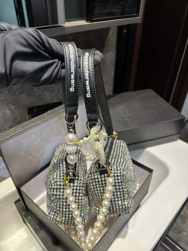 شنطة الكسندر وانغ Alexander wang