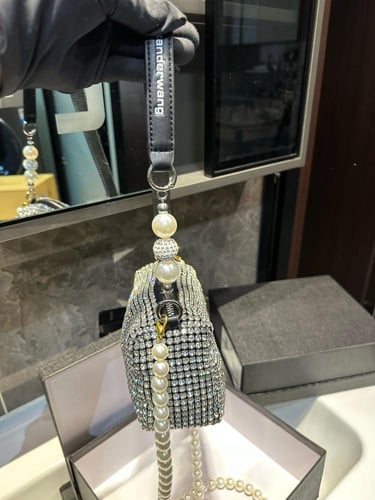 شنطة الكسندر وانغ Alexander wang