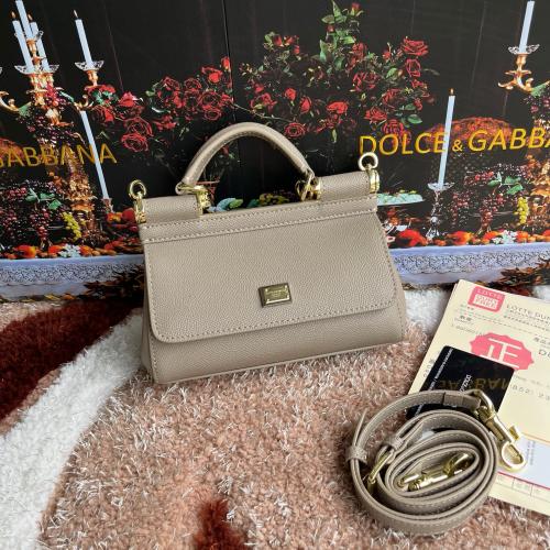 شنطة دولشي اند غابانا D&G 18cm