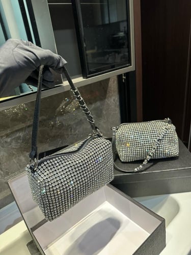 شنطة الكسندر وانغ Alexander wang