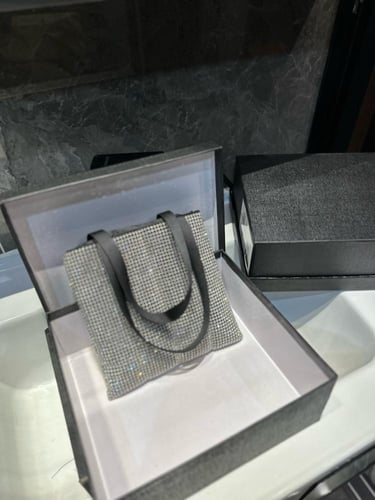 شنطة الكسندر وانغ Alexander wang