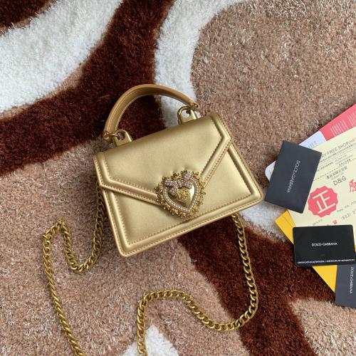شنطة دولشي اند غابانا D&G 19cm