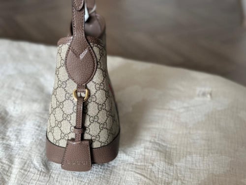 شنطة قوتشي Ampivato