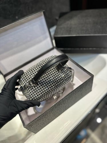 شنطة الكسندر وانغ Alexander wang