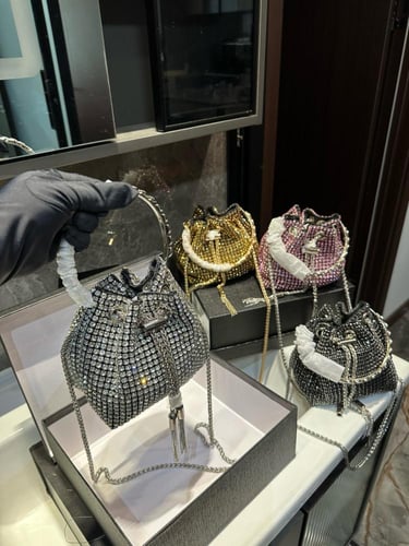 شنطة الكسندر وانغ Alexander wang