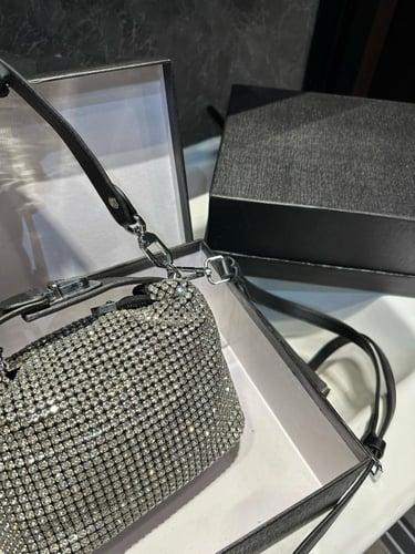 شنطة الكسندر وانغ Alexander wang