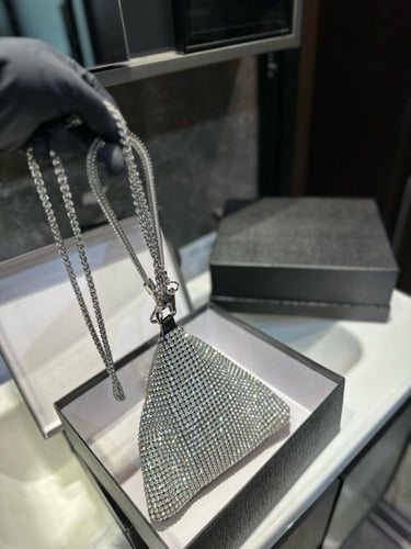 شنطة الكسندر وانغ Alexander wang