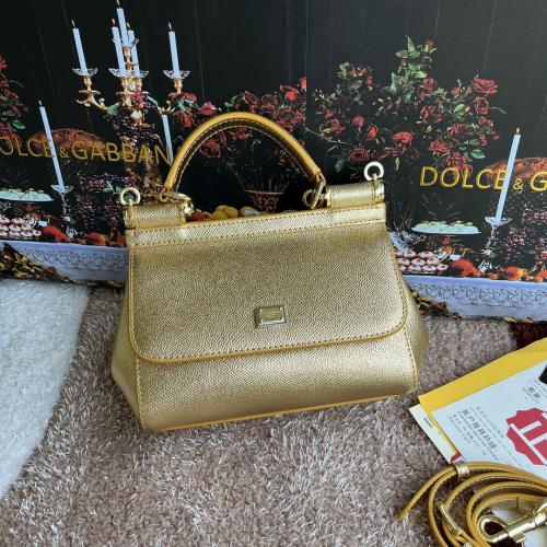شنطة دولشي اند غابانا D&G 20cm