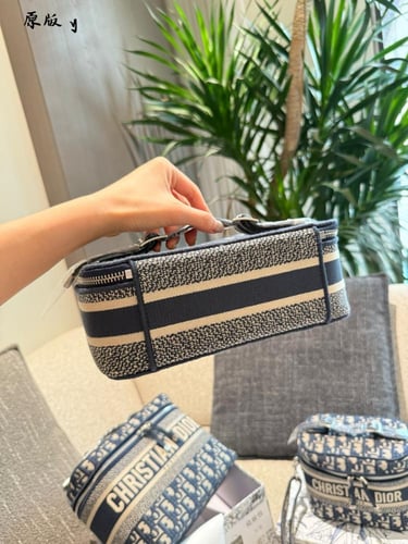 شنطة ديور Vanity