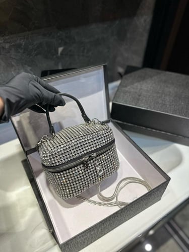 شنطة الكسندر وانغ Alexander wang