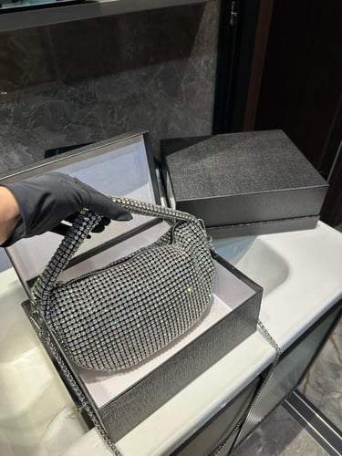 شنطة الكسندر وانغ Alexander wang