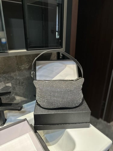 شنطة الكسندر وانغ Alexander wang