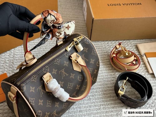 شنطة لويس فيتون SPEEDY 25cm
